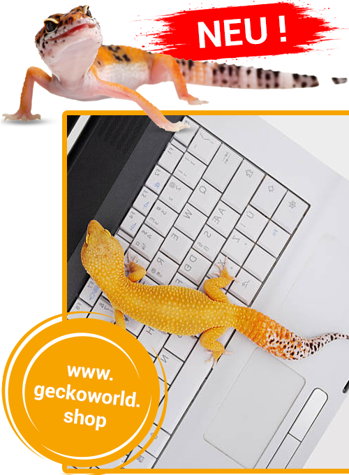 Geckoworld